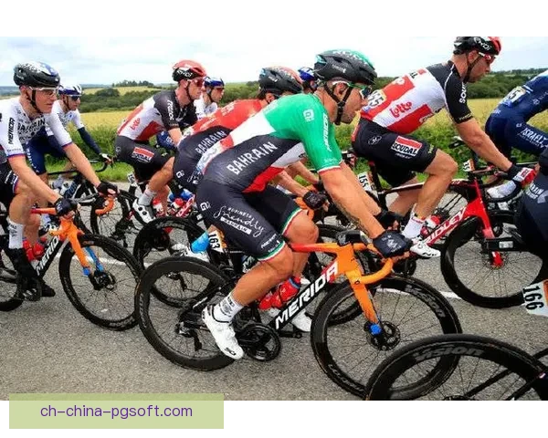 山地车比赛揭晓：速度与激情，谁将夺得最终胜利？